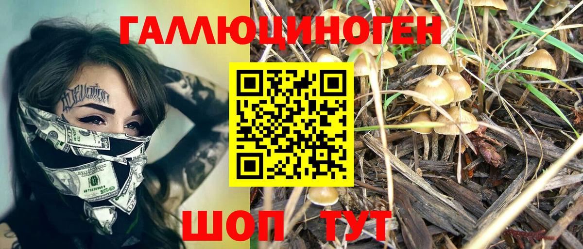 Галлюциногенные грибы Psilocybe  Вход с VPN  Железноводск 