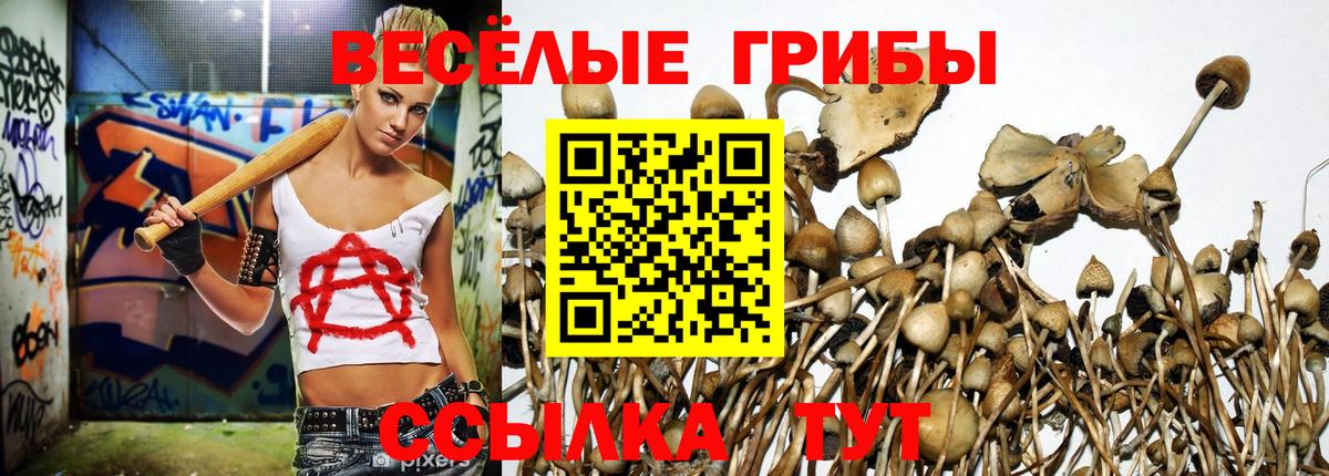 Галлюциногенные грибы ЛСД Железноводск